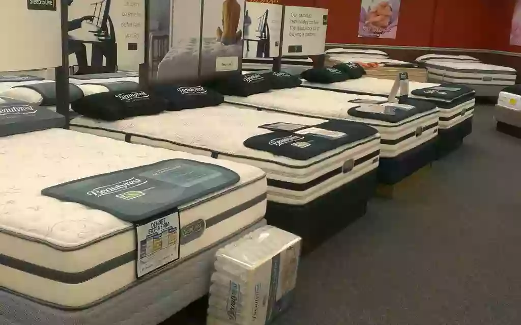 Mattress City Inc Mattress City Inc