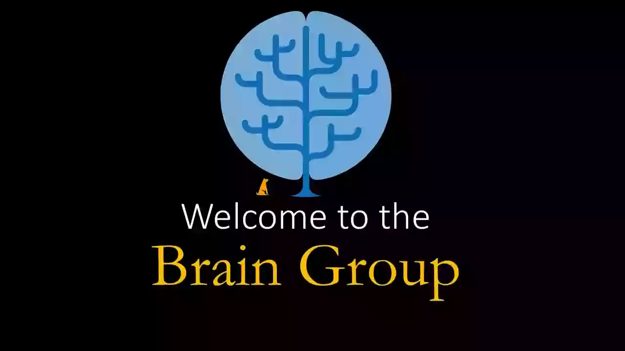 The Brain Group The Brain Group