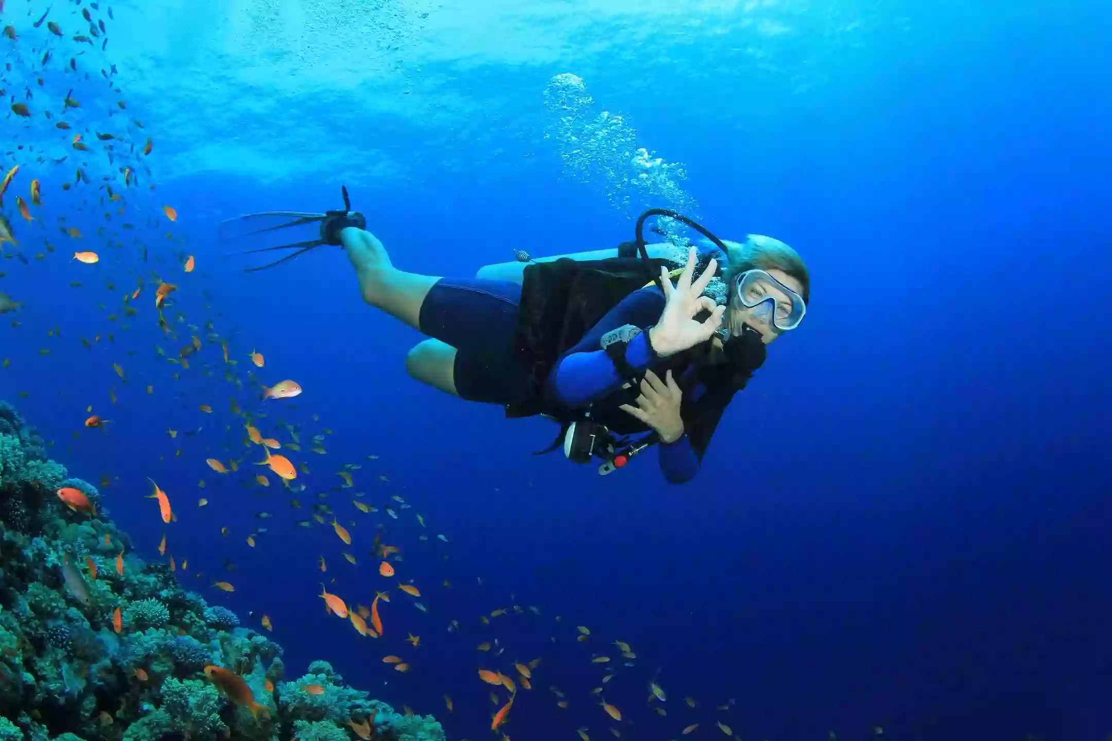 West End Diving West End Diving
