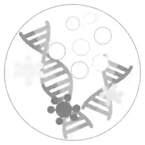 Molecular Microbiology and Microbial Pathogenesis Program Molecular Microbiology and Microbial Pathogenesis Program