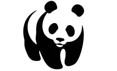 China Wok China Wok
