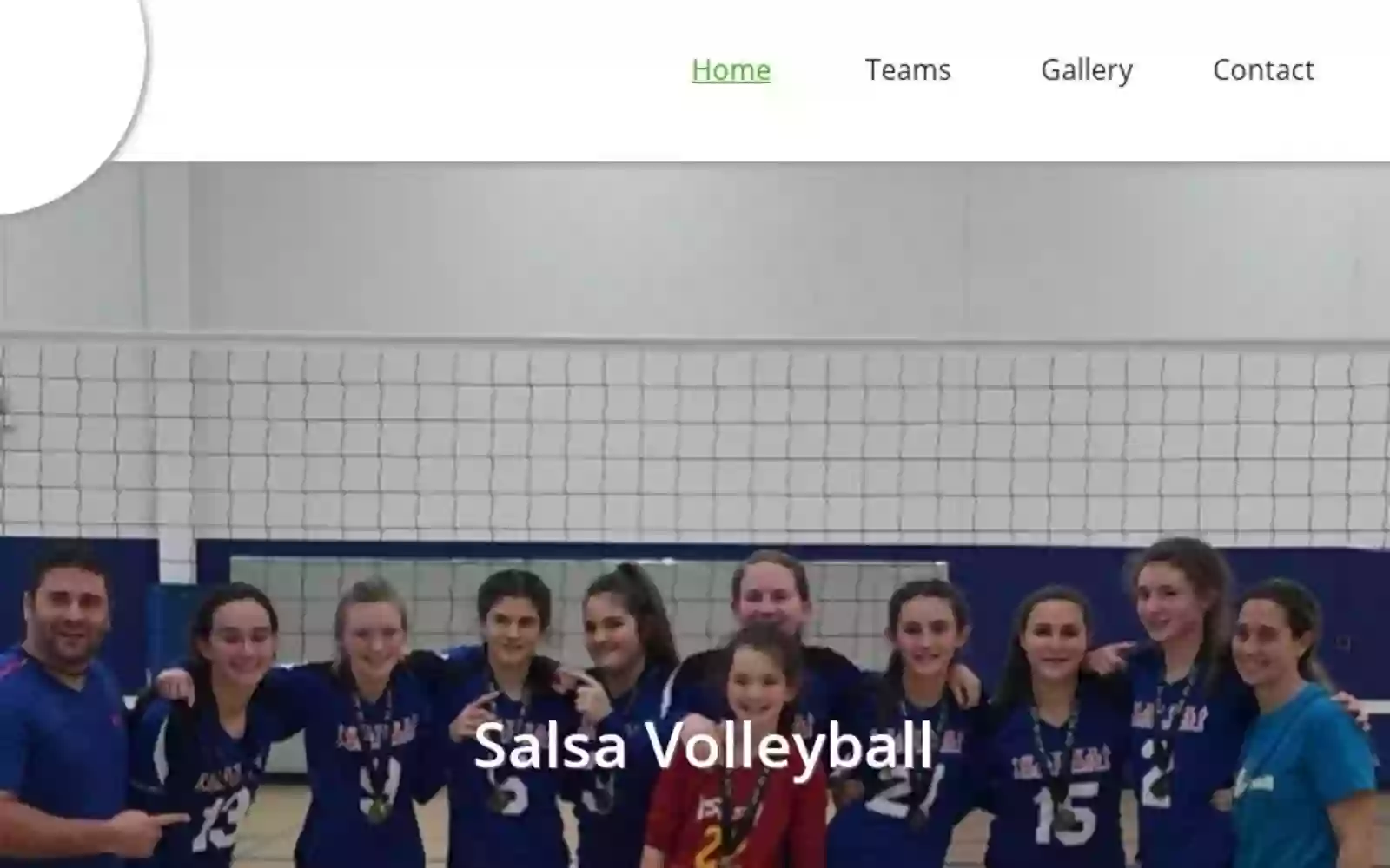 salsa volleyball salsa volleyball