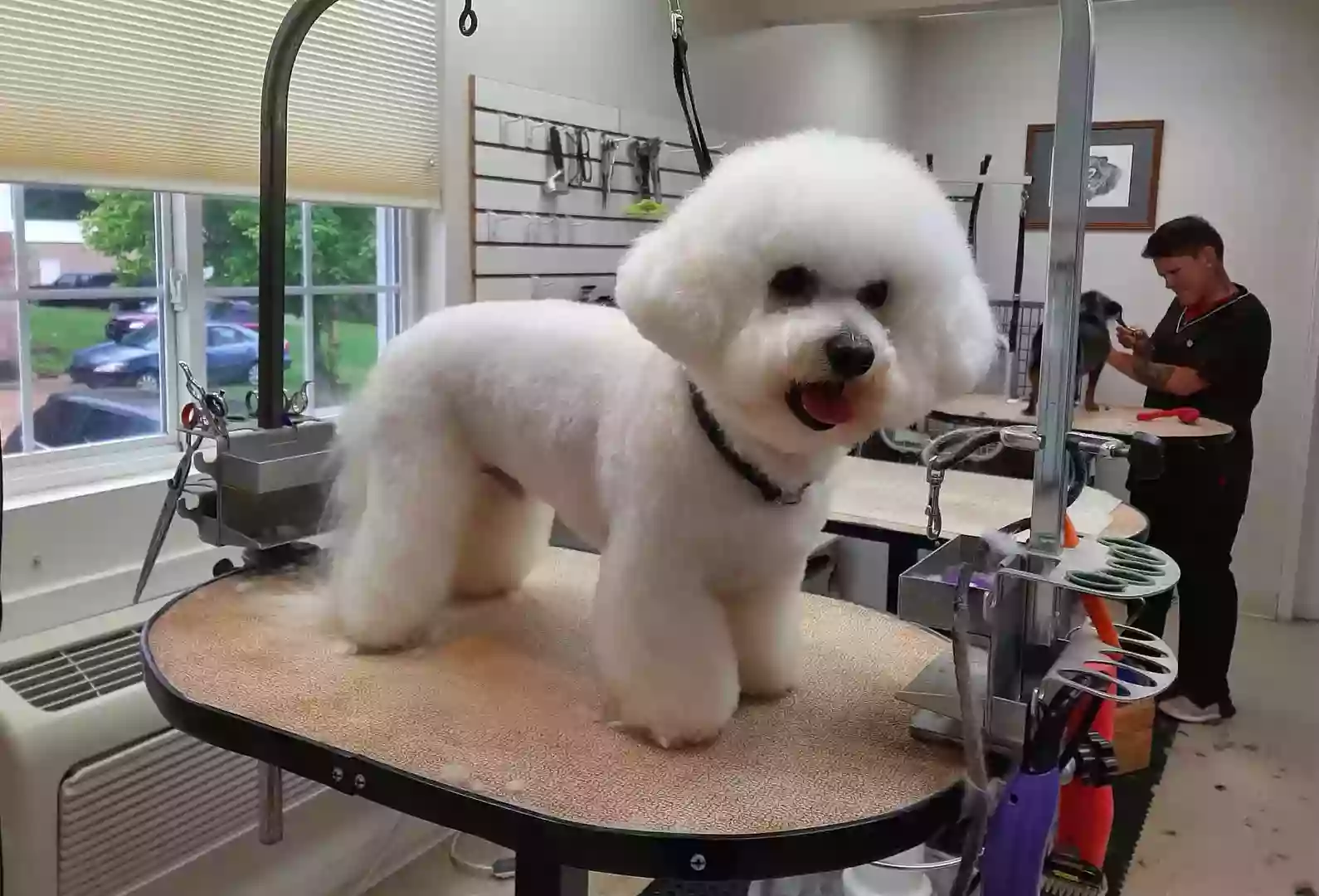 Doggie Styles Doggie Styles