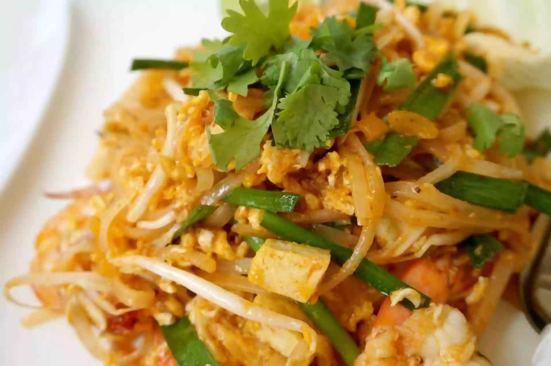 Bangkok Cuisine Bangkok Cuisine