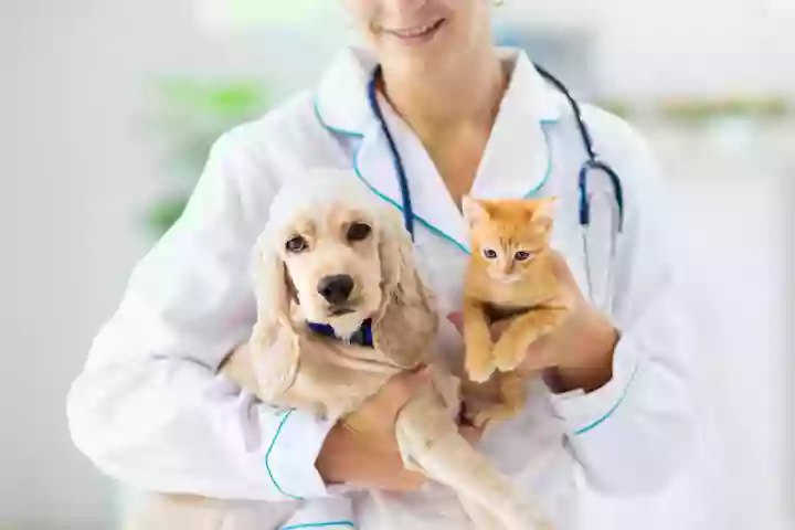 Options Veterinary Care Options Veterinary Care