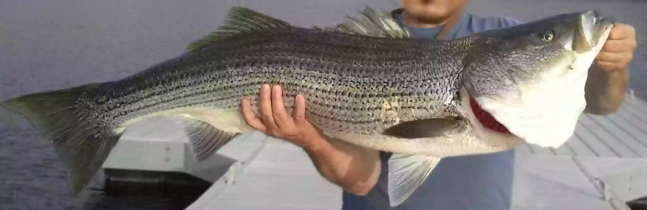 Las Vegas Fishing Tours Las Vegas Fishing Tours