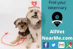 Lebanon Hospital For Pets Lebanon Hospital For Pets