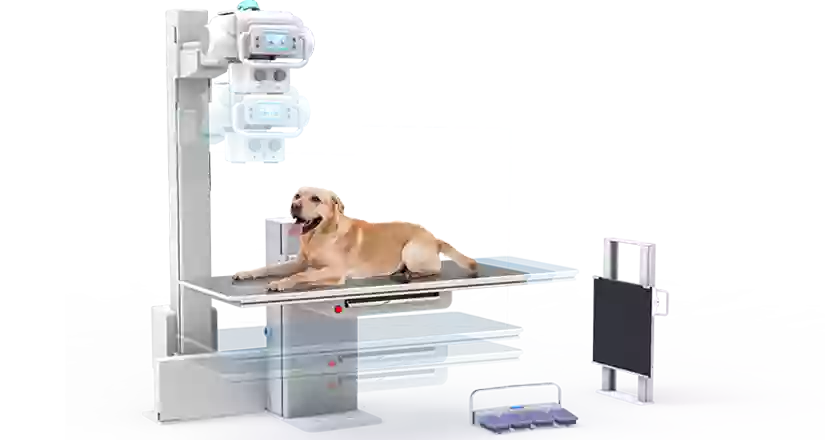 MyVet Imaging MyVet Imaging