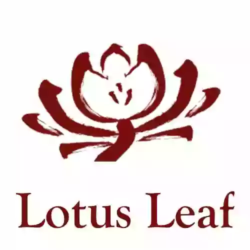 Lotus Leaf Lotus Leaf