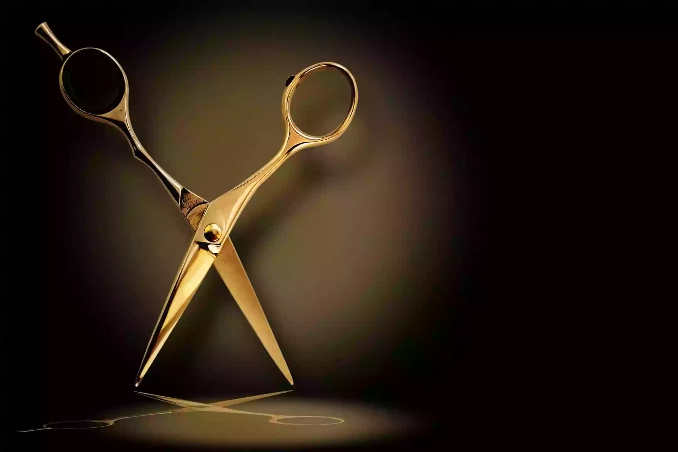 Scissor Lounge Scissor Lounge