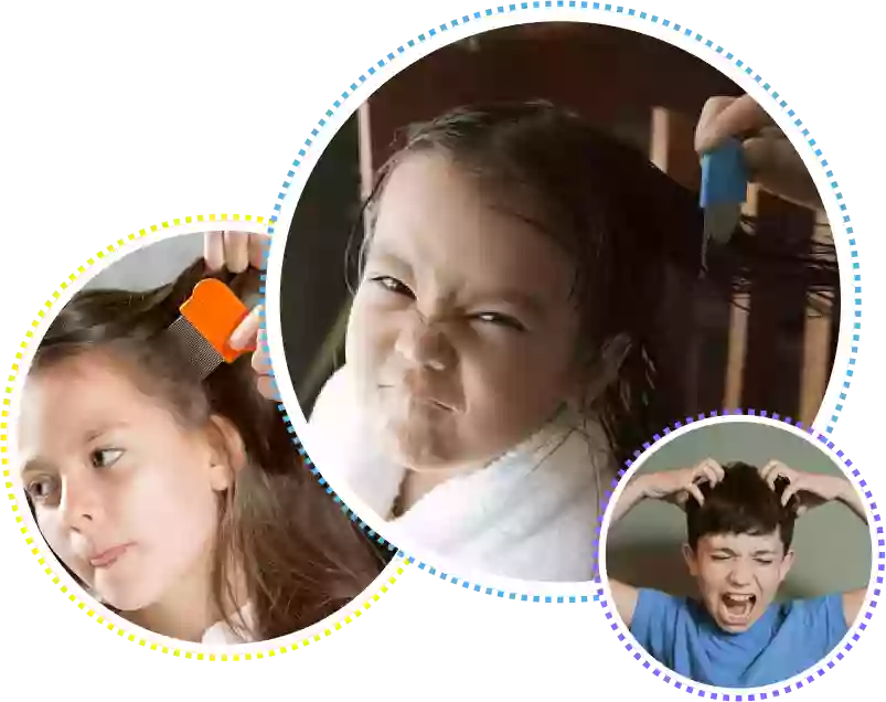 Bergen Lice Removal Bergen Lice Removal