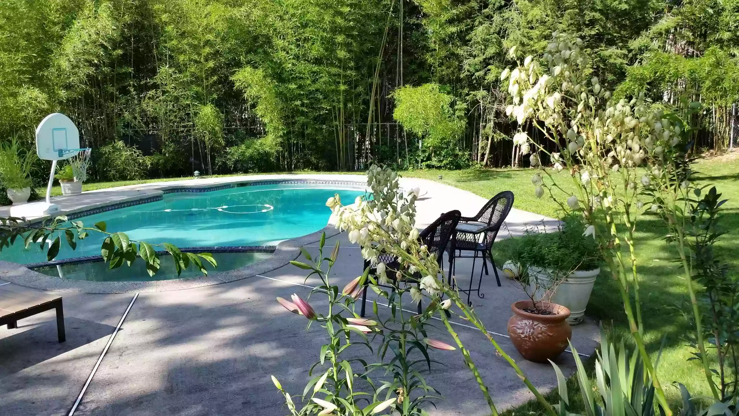 Right Pool Care Right Pool Care