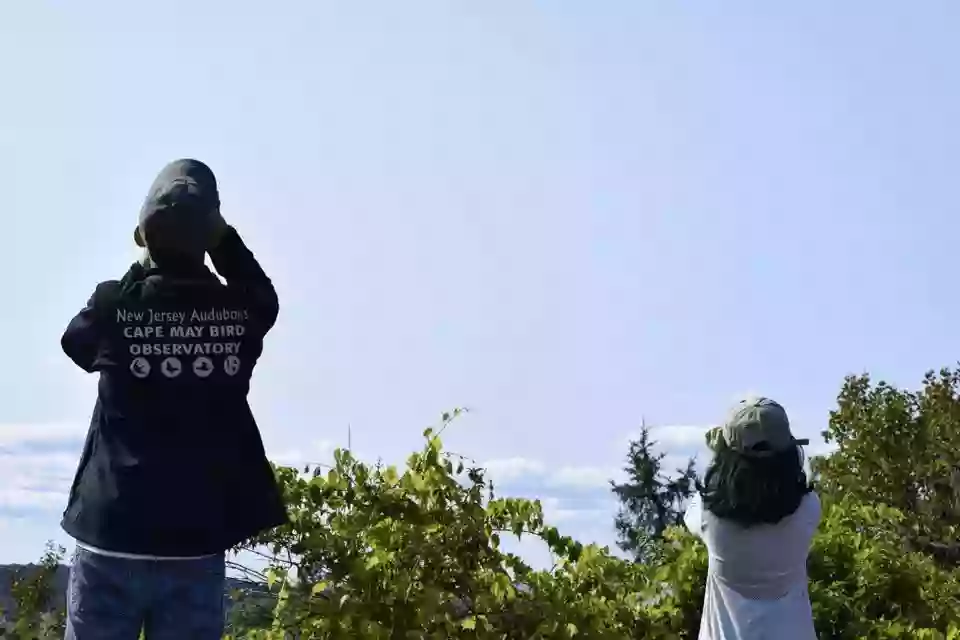 Montclair Hawkwatch Montclair Hawkwatch