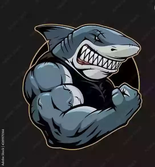 Drain Sharks Drain Sharks