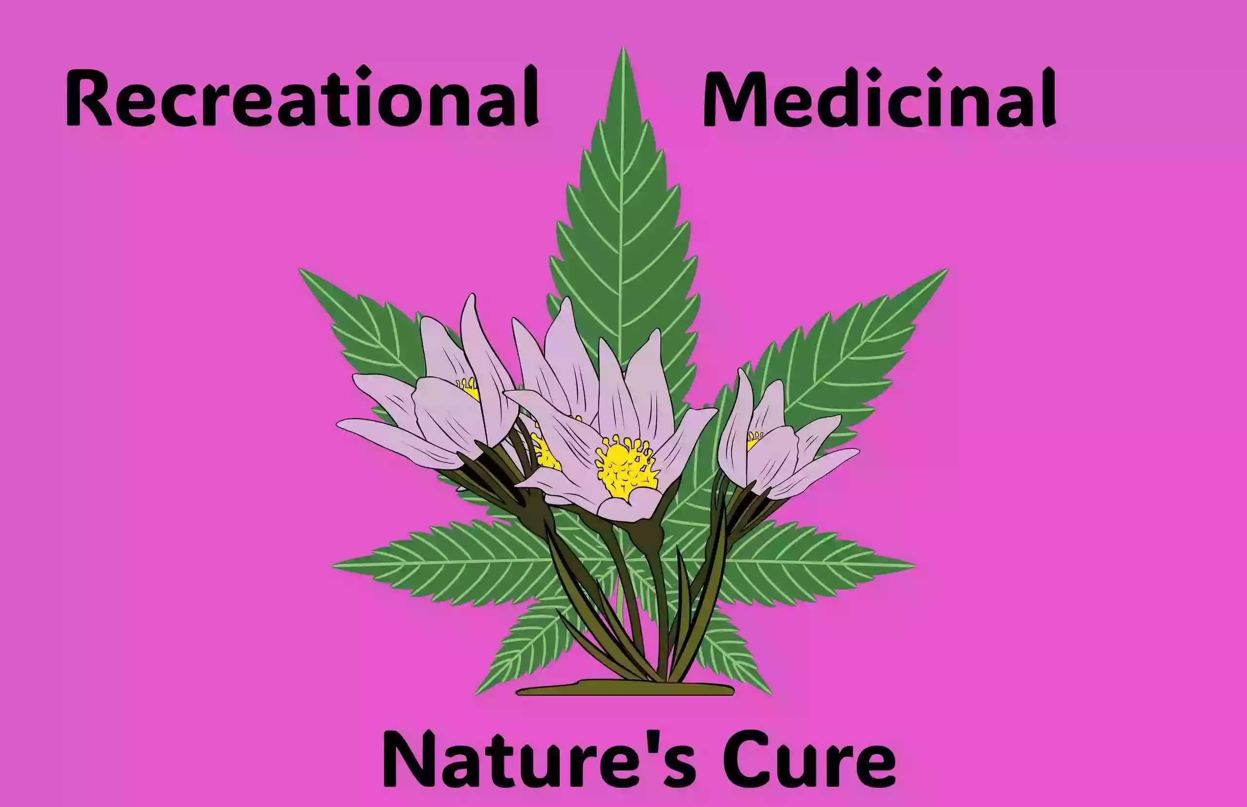 Chikere Herbs Chikere Herbs