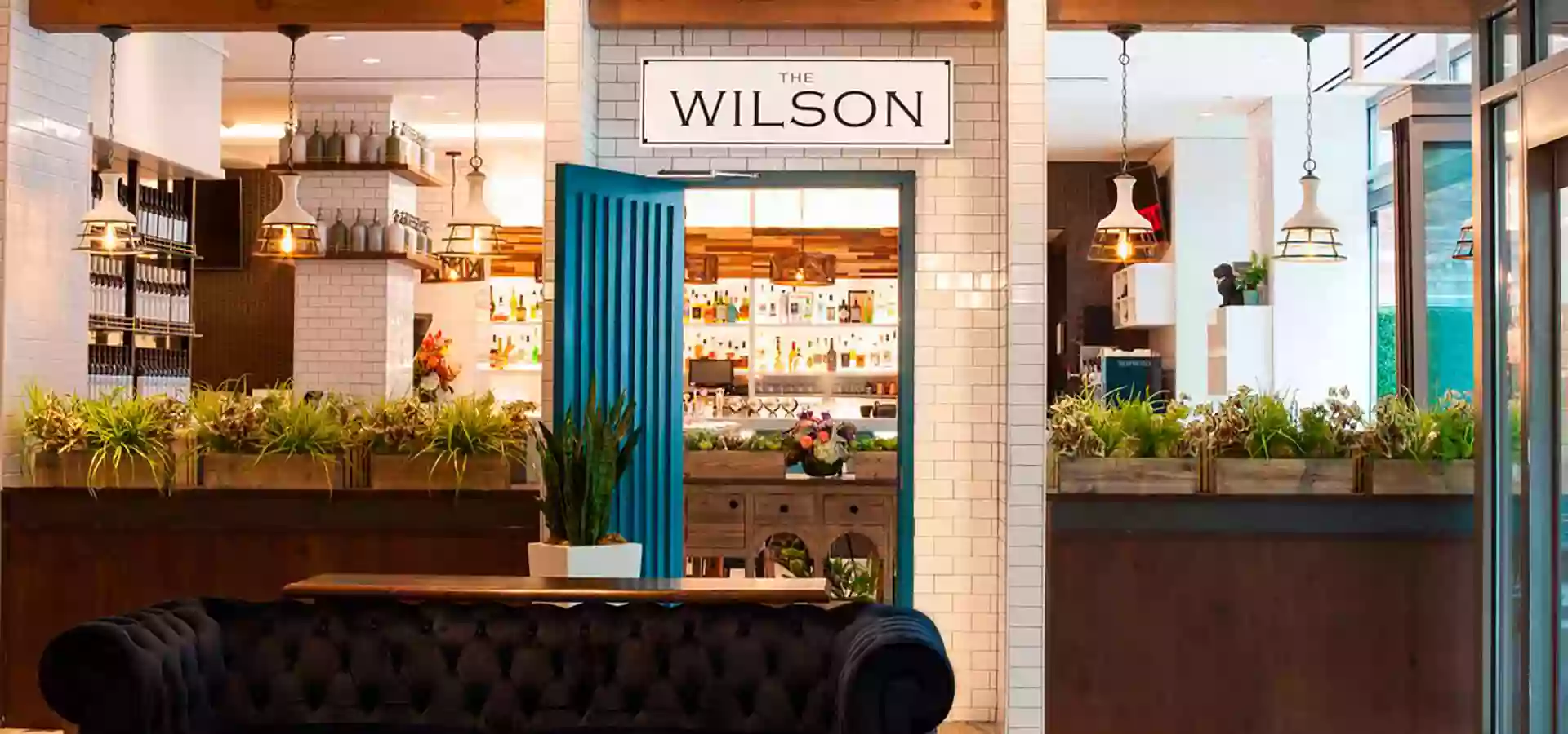 The Wilson The Wilson