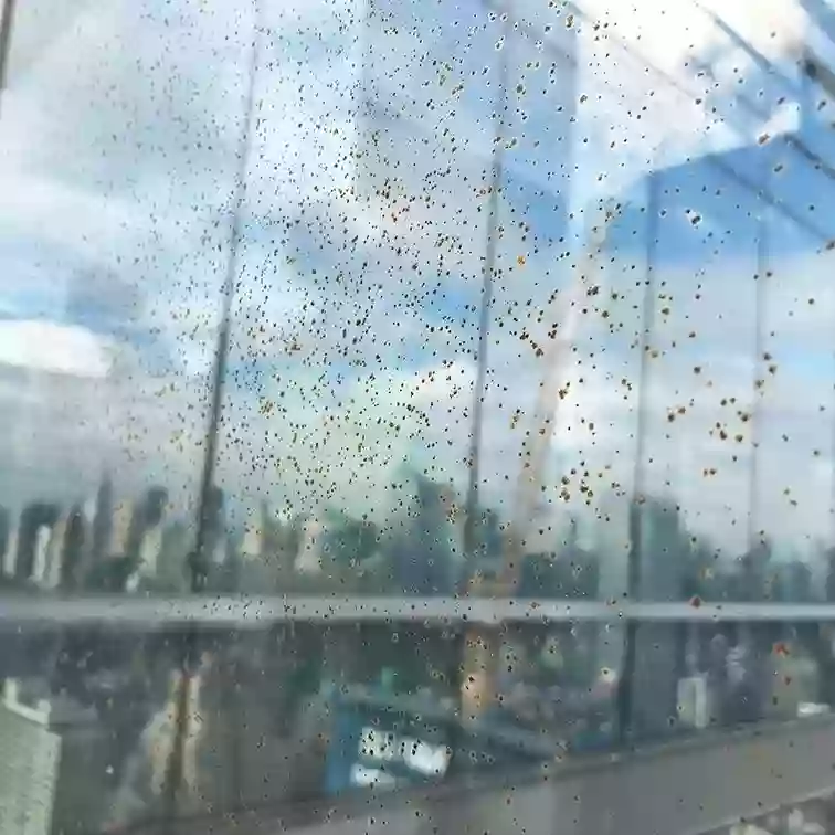 Sparkviewcorp