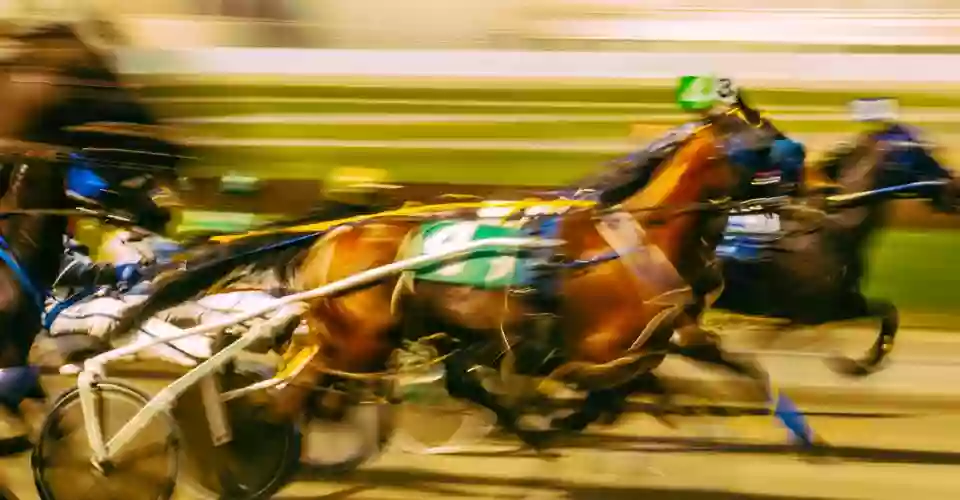 Vernon Downs Racing Vernon Downs Racing