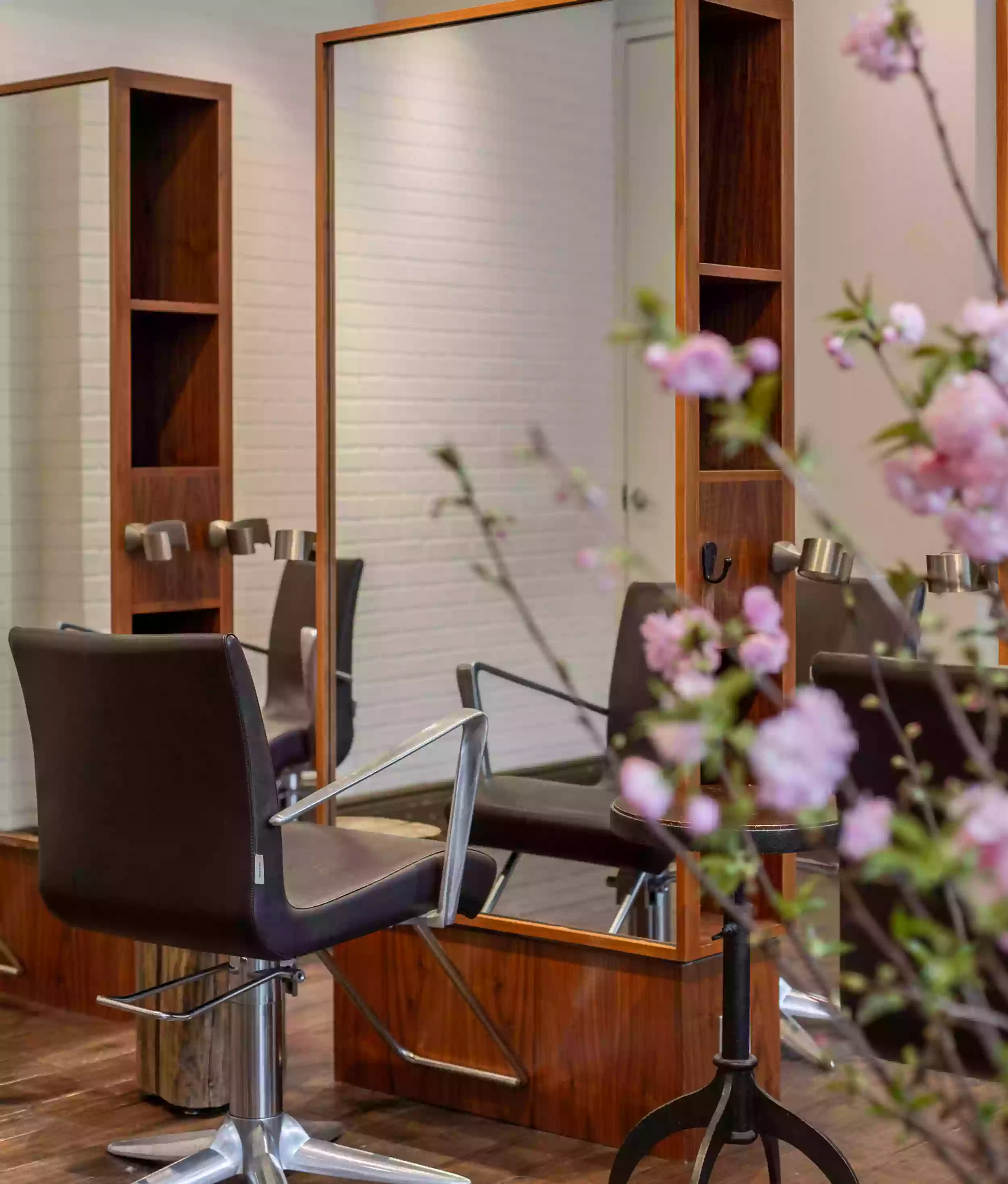 Salon Wave Salon Wave
