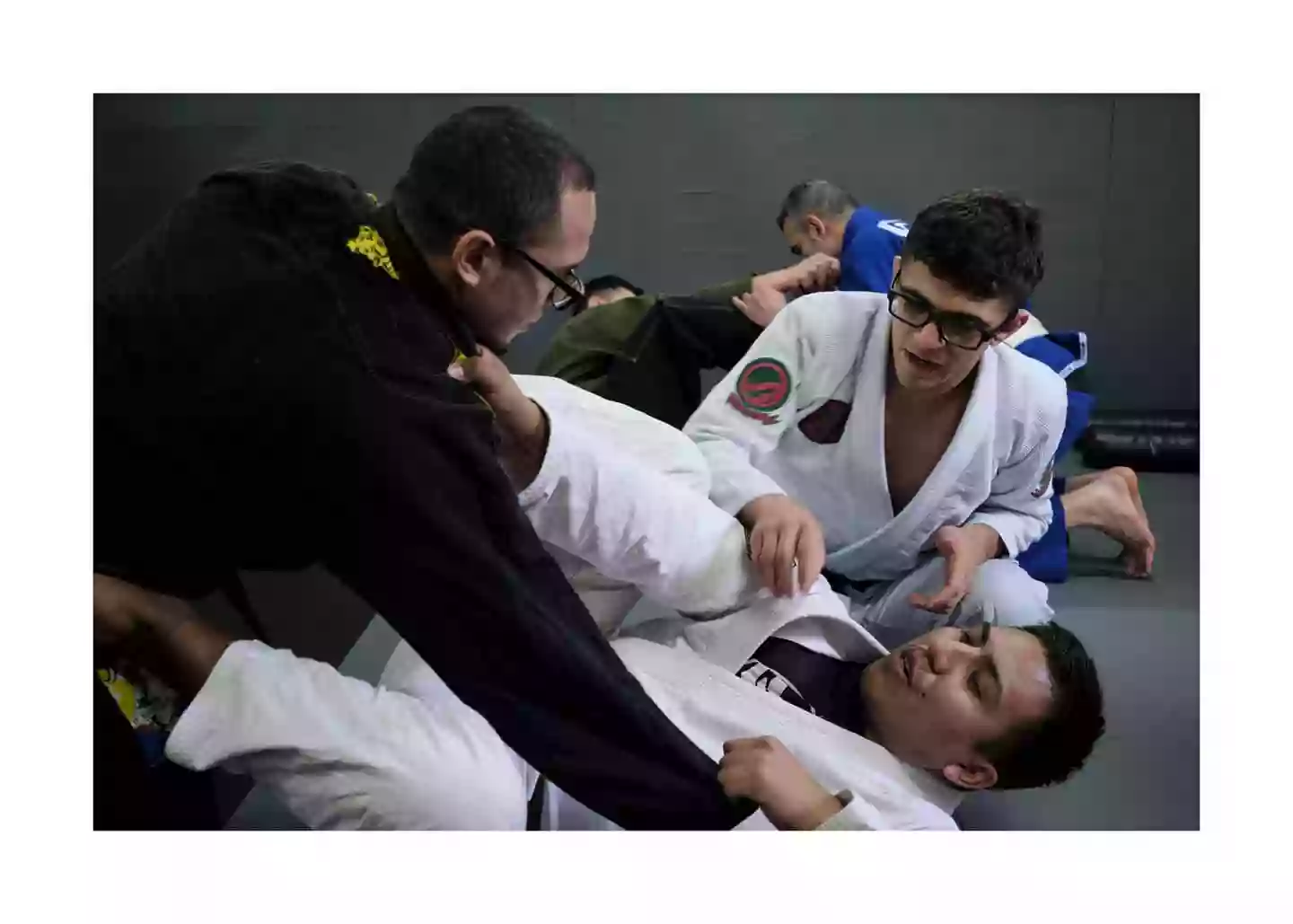 The Dojo The Dojo