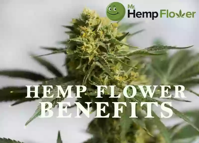 Mr. Hemp Flower Mr. Hemp Flower