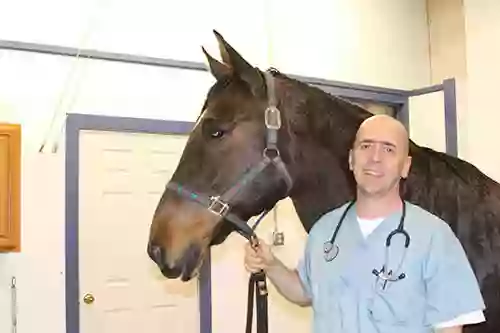 Secondvet Secondvet