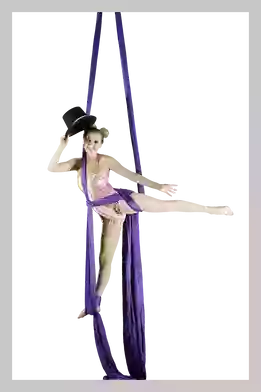Aerial Arts Aerial Arts