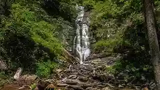Toms Creek Falls Trail Toms Creek Falls Trail