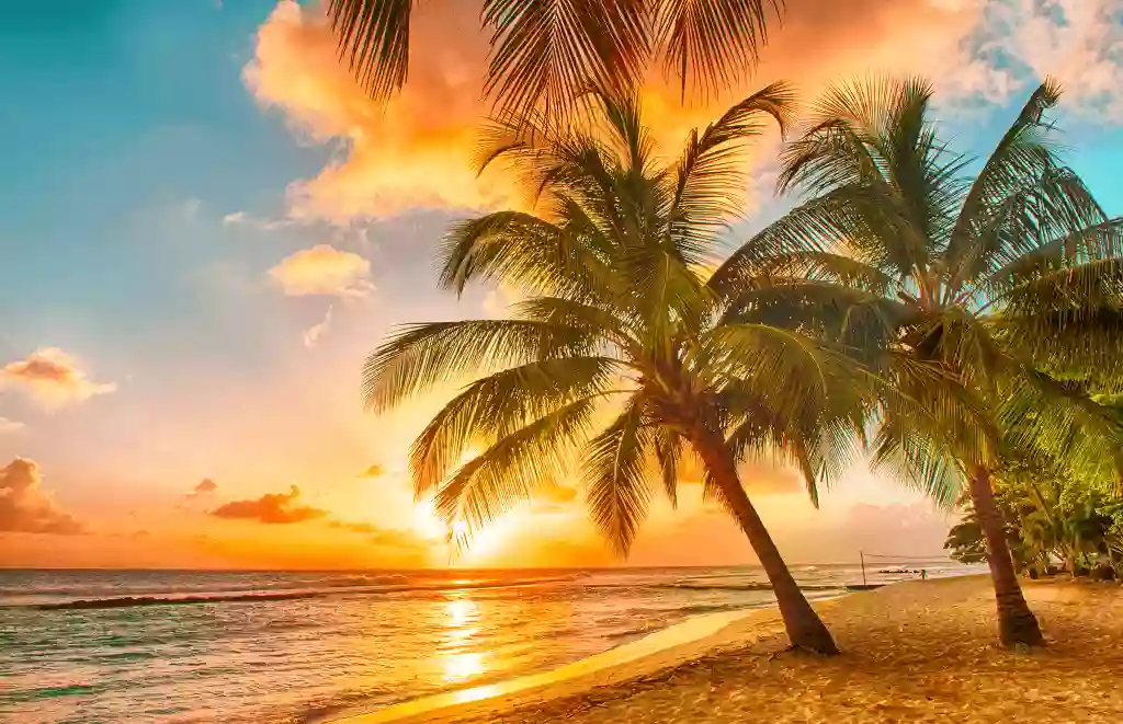 Save On Travel Save On Travel