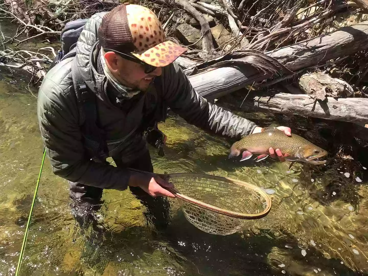 Smooth Angler Smooth Angler