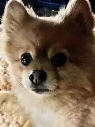 K-9 Klips K-9 Klips