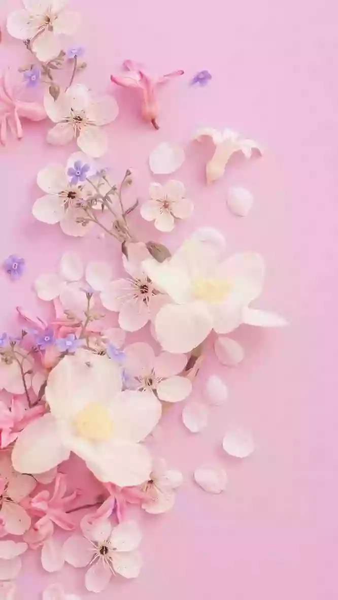 Petals of Color Petals of Color