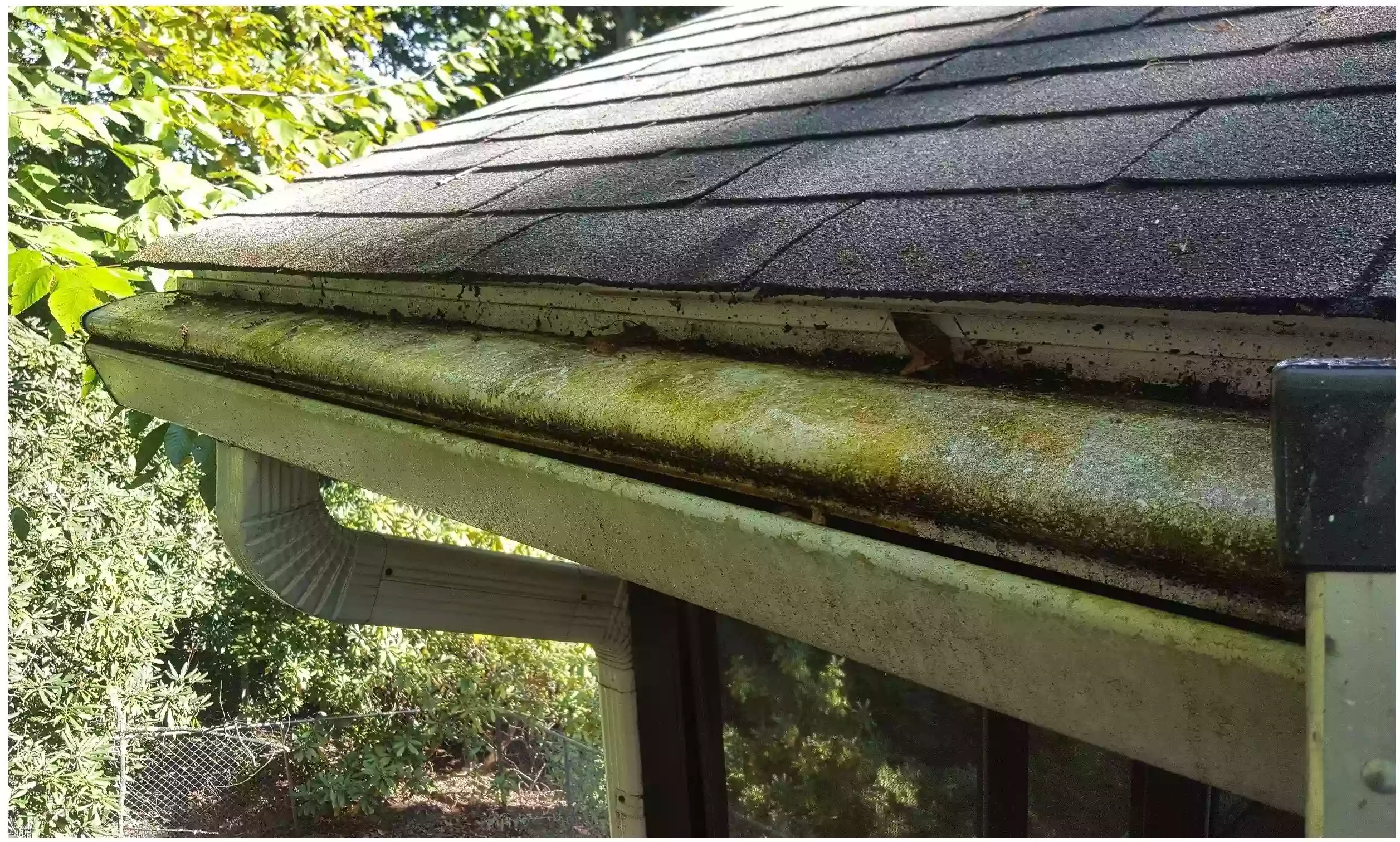 Carolina Property Clean Carolina Property Clean