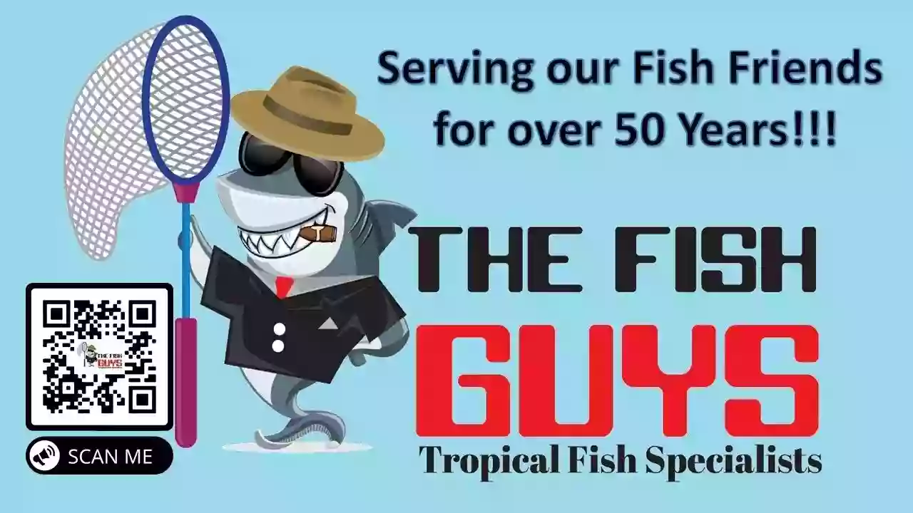 The Fish Guys The Fish Guys