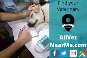 Ada Animal Hospital Ada Animal Hospital