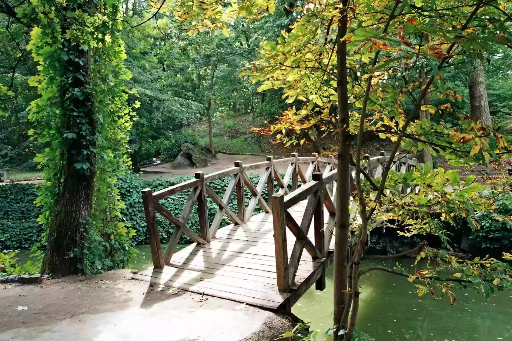 Bridges School Bridges School