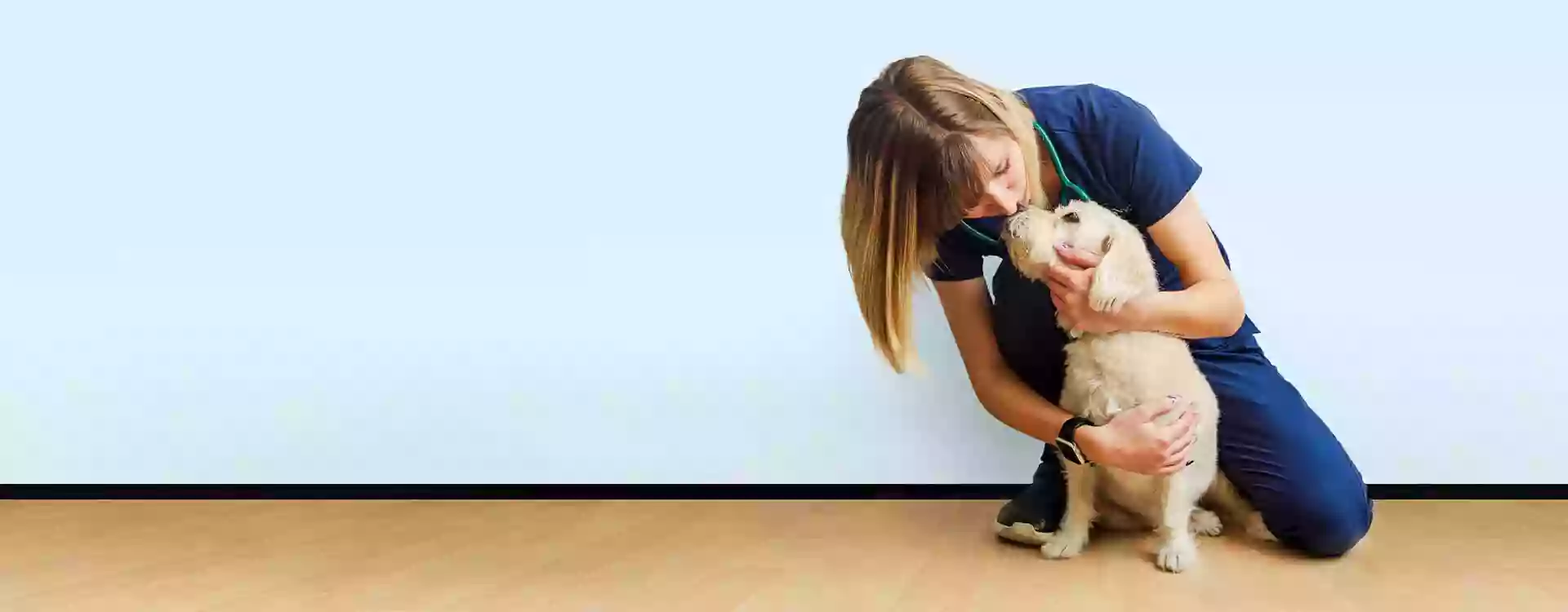 MedVet Medical and Cancer Centerl: Schwartz Susanna DVM MedVet Medical and Cancer Centerl: Schwartz Susanna DVM