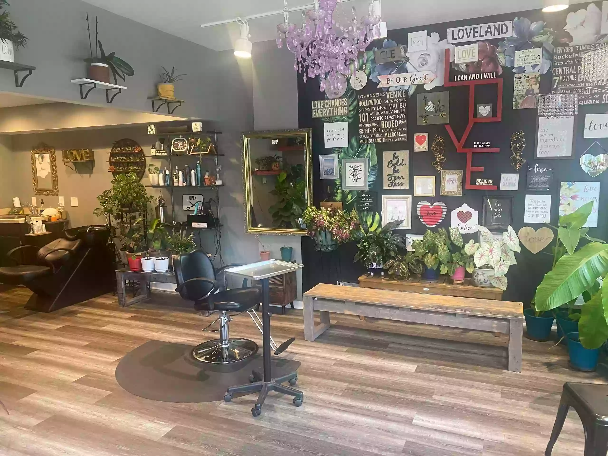 Salon Love Salon Love