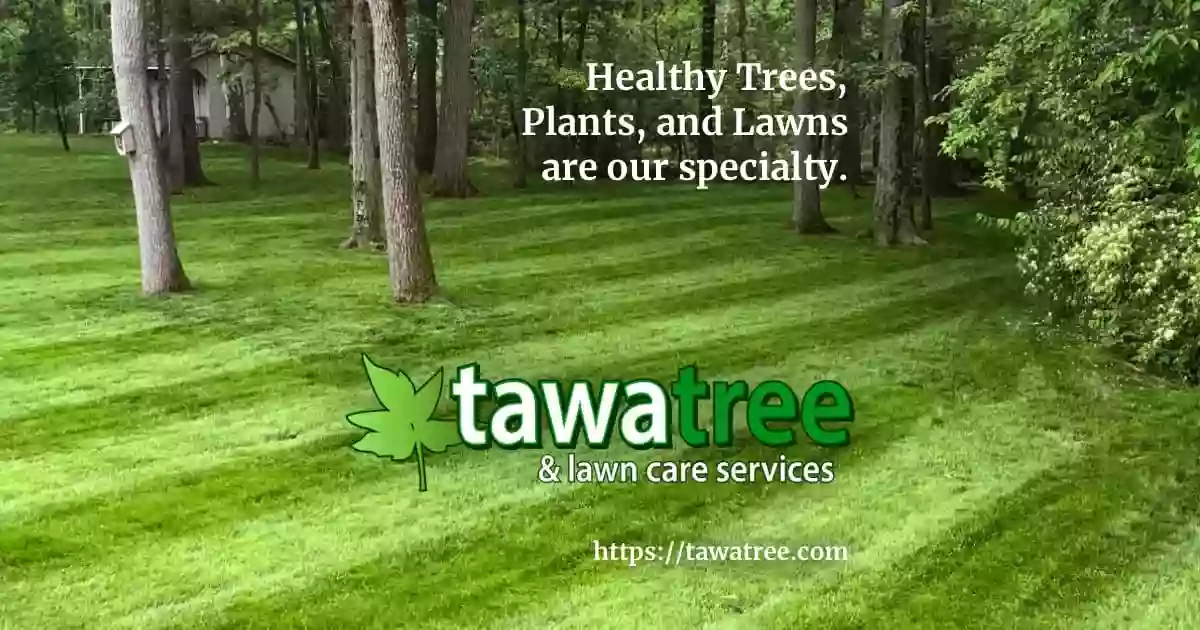 Tawa Tree Services Tawa Tree Services