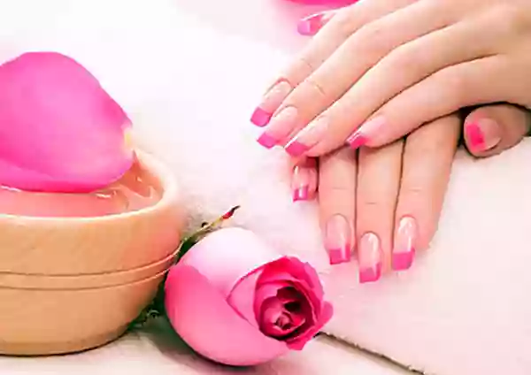 Lily Nails Lily Nails