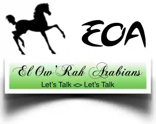 El OwRah Arabians El OwRah Arabians