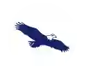 Eagle Loan Eagle Loan