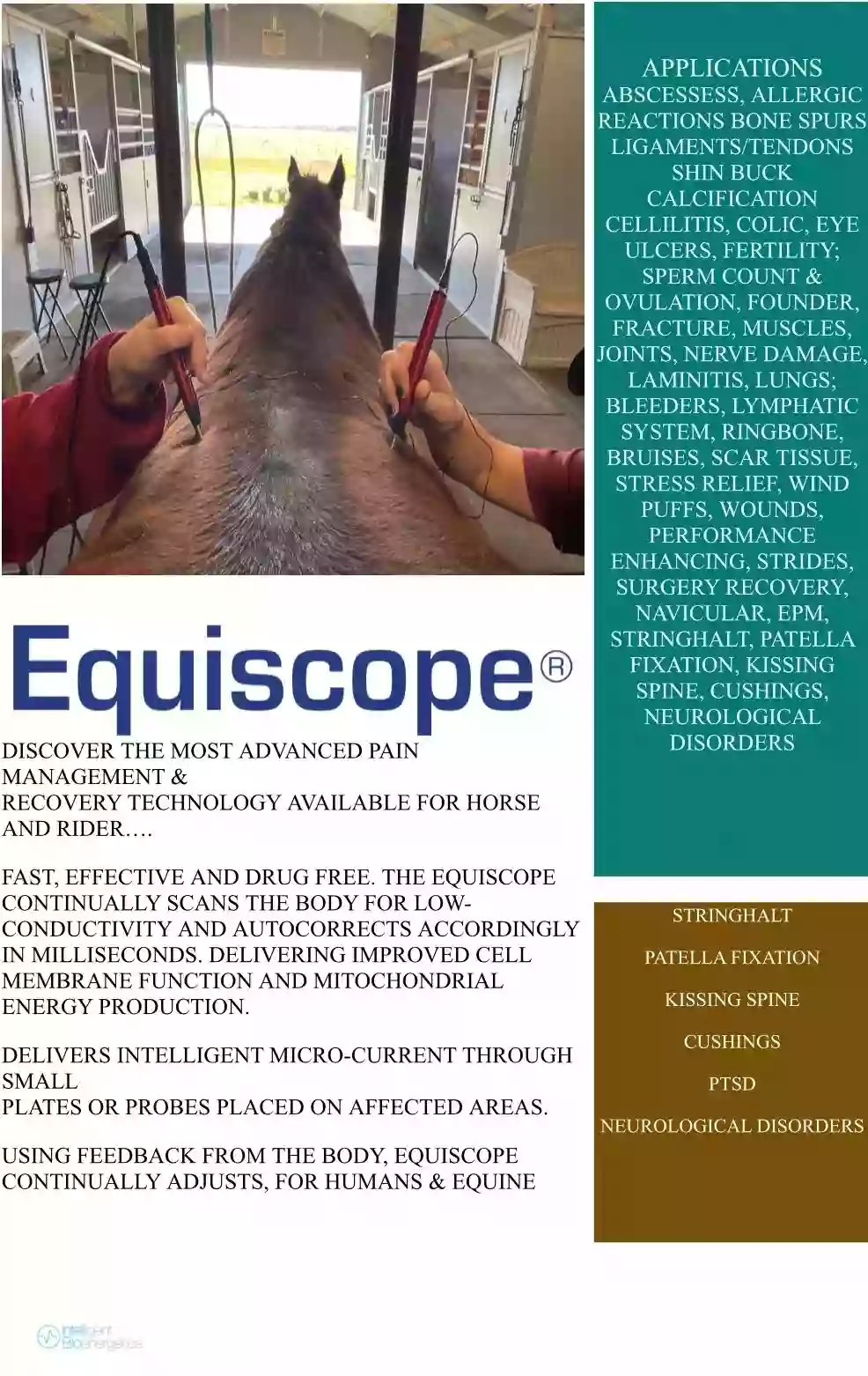 JLC Equine JLC Equine