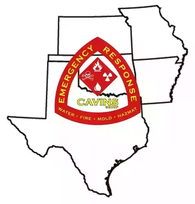 Cavins Group Cavins Group
