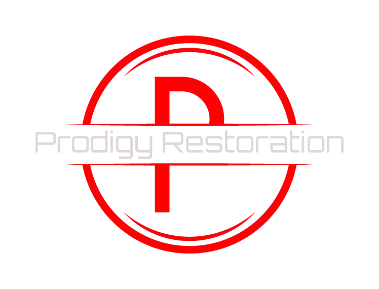 Prodigy Restoration Prodigy Restoration