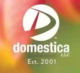Domestica Domestica