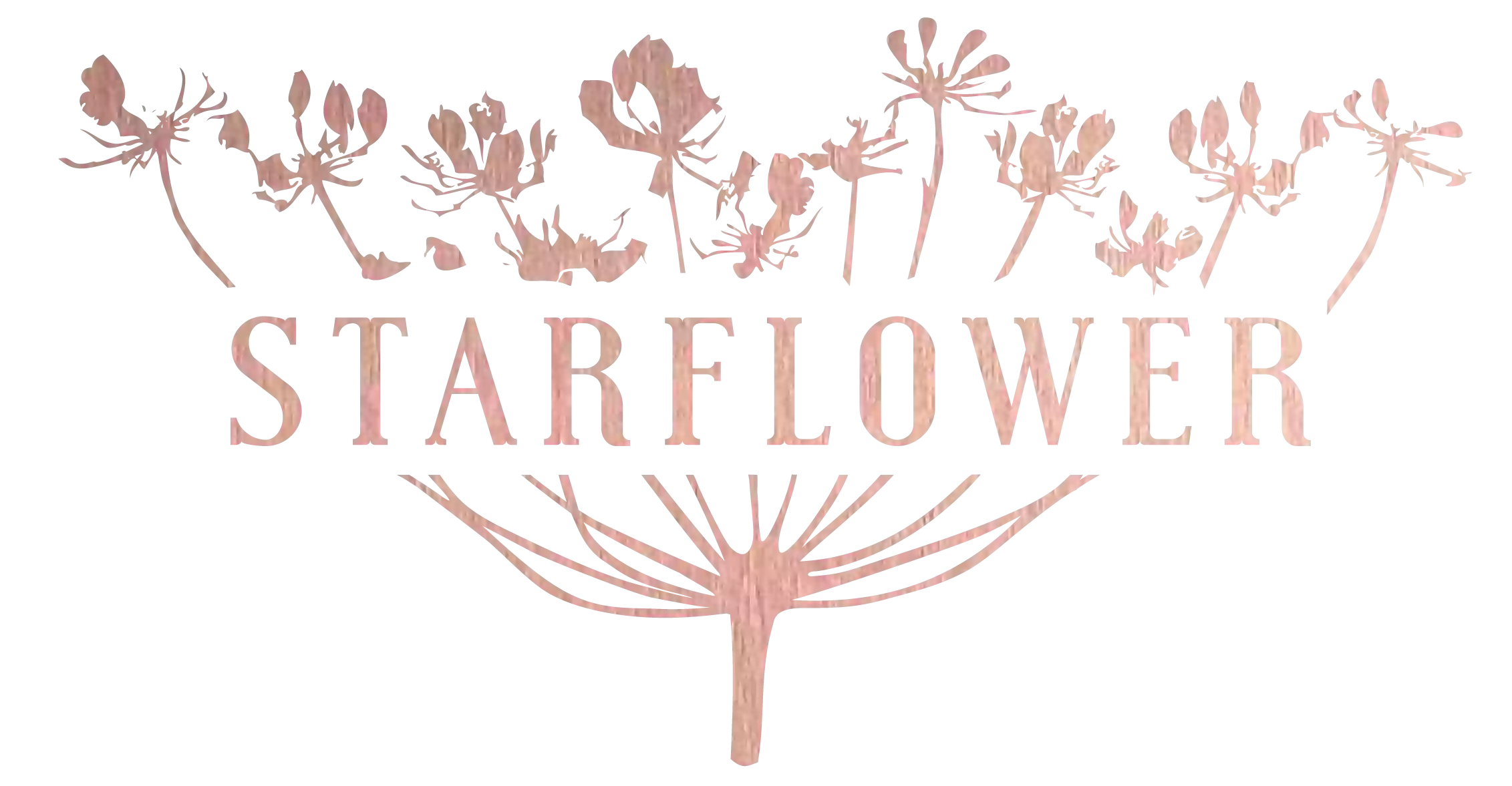 Starflower Starflower