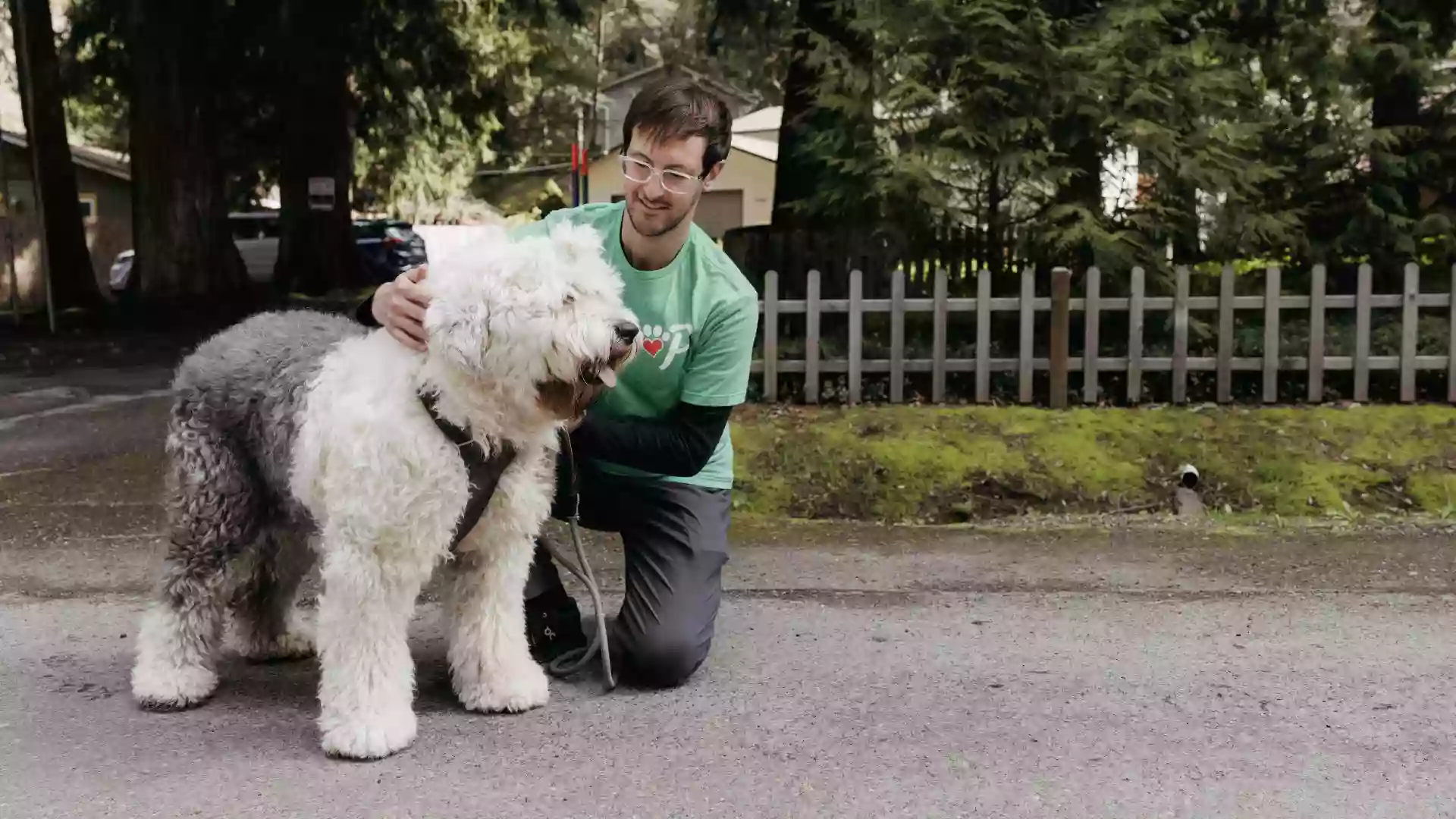 Pet Sitter Portland Pet Sitter Portland