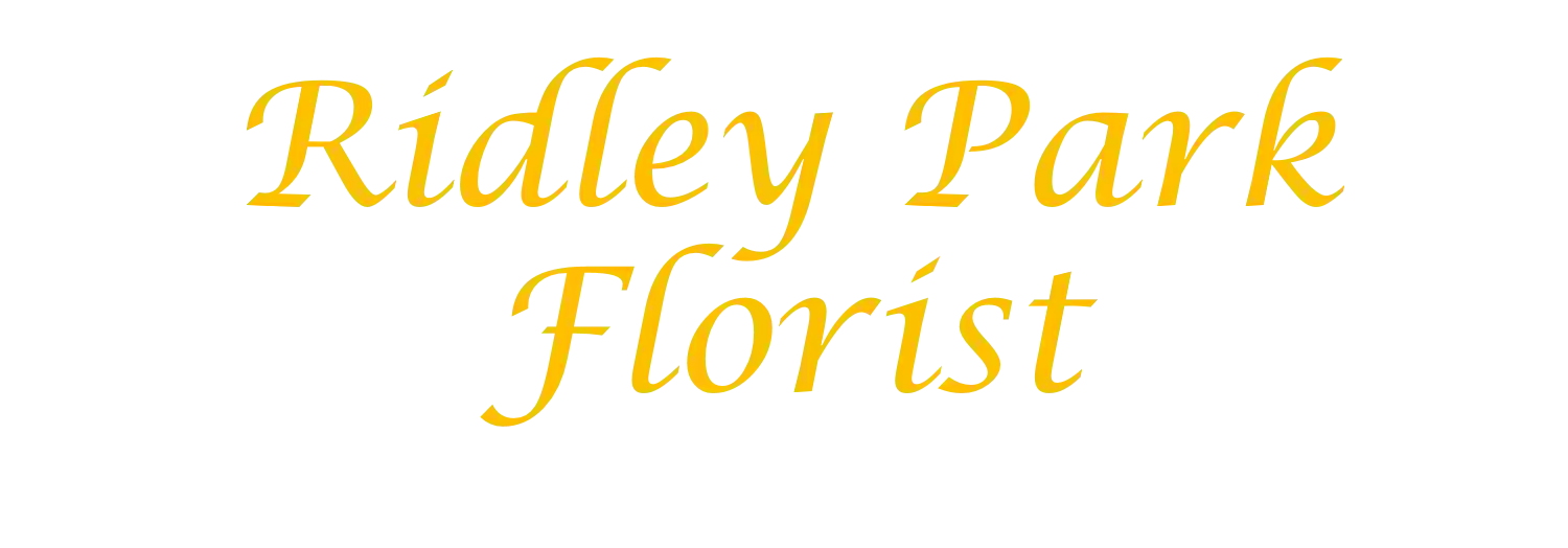 Ridley Park Florist Ridley Park Florist