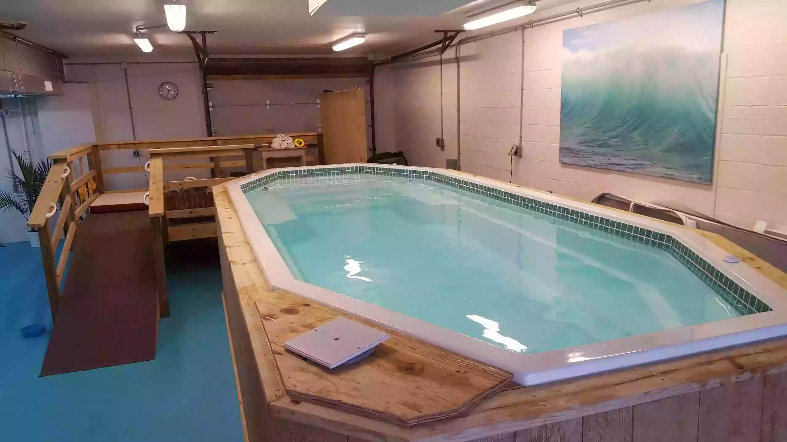 Surf Dog Swim Spa Surf Dog Swim Spa